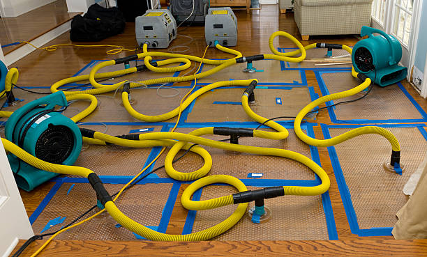 Professional Burst Pipe Water Damage technician working in Cranbury, NJ